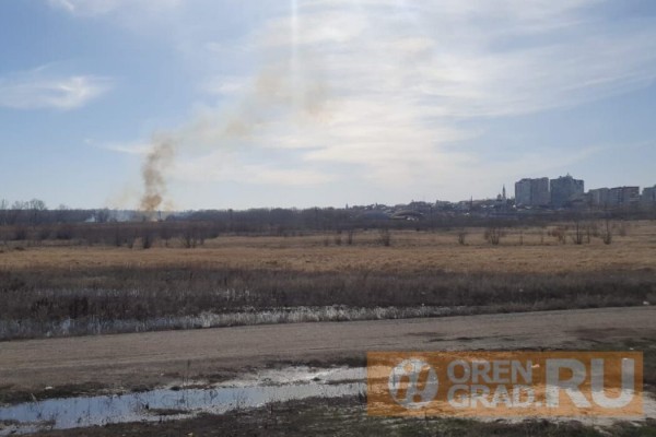 В Оренбурге в районе «Дубков» горит поле и лесополоса В Оренбурге в районе «Дубков» горит поле и лесополоса