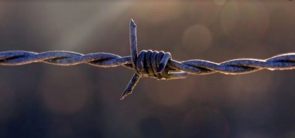 В оренбургских колониях до сих пор запрещены длительные свидания