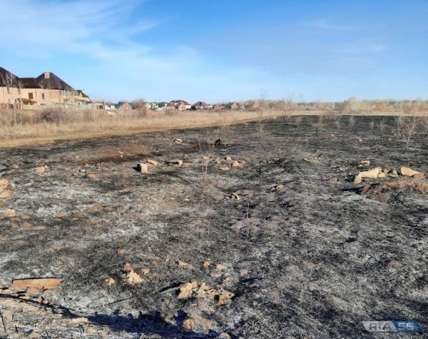 В Оренбургской области за сутки потушили 7 природных пожаров