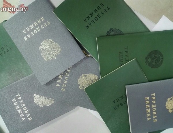 В Соль-Илецке сразу четверо мошенников незаконно получали пособие по безработице