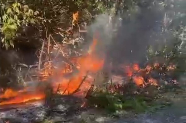 У Красной площади в Оренбурге снова пожар. Люди тушат огонь самостоятельно (видео)
У Красной площади в Оренбурге снова пожар. Люди тушат огонь самостоятельно (видео)