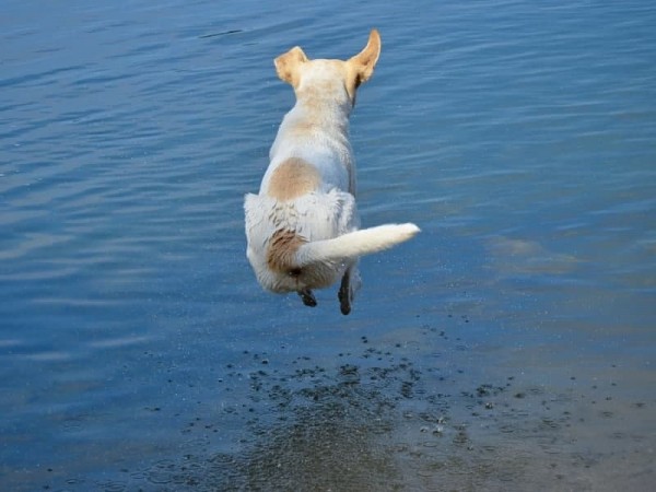 В Оренбуржье 22 мая вернется жара до 34 градусов