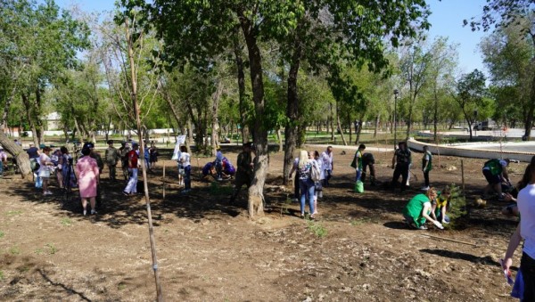 В рамках акции «Сад Памяти» оренбуржцы высадили 40 деревьев в парке имени Ленина В рамках акции «Сад Памяти» оренбуржцы высадили 40 деревьев в парке имени Ленина