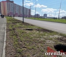 Проезд Северный украшают не зеленеющие деревца, а колышки...