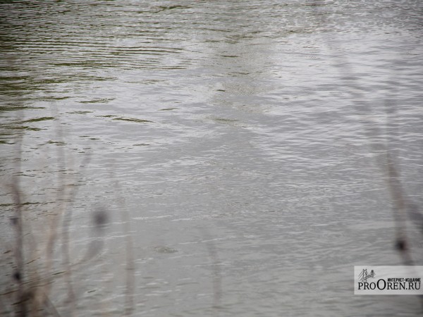 На реке Урал в Орске спасли тонущего ребенка На реке Урал в Орске спасли тонущего ребенка