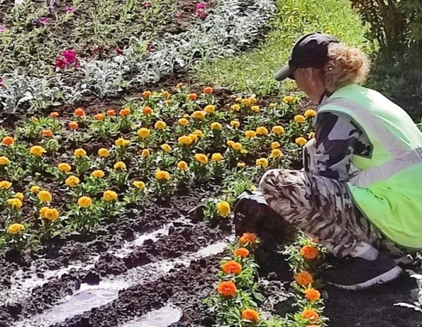 На улицах Оренбурга продолжают высаживать цветы