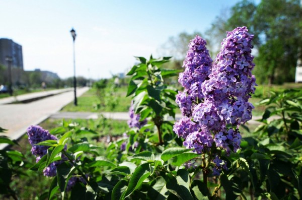 Ежедневный прогноз на 23 мая