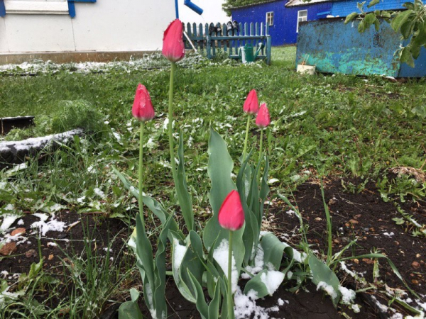 В Оренбургской области днем 6 мая воздух прогреется до +20 градусов