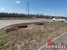 Проезд Северный украшают не зеленеющие деревца, а колышки...