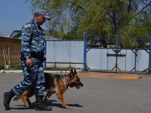 Принял душ и украл телефон: в Оренбурге задержали подозреваемого в краже