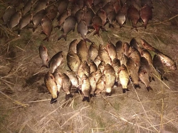 На Ирикле поймали очередного браконьера с сетями