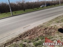 Проезд Северный украшают не зеленеющие деревца, а колышки...