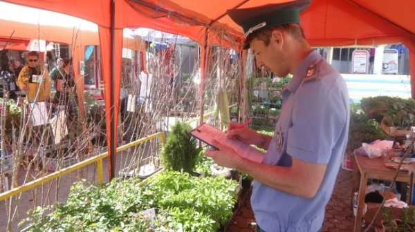 Проверяющие наведались с рейдом на рынок АТП в Оренбурге Проверяющие наведались с рейдом на рынок АТП в Оренбурге