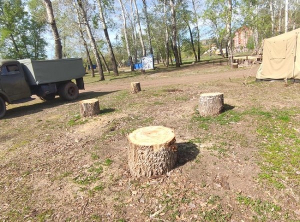 В Оренбурге по факту вырубки деревьев на Красной площади возбудили уголовное дело