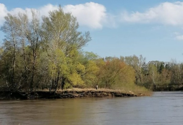 Перевернулась лодка. Под Оренбургом сотрудники АСС спасли туриста