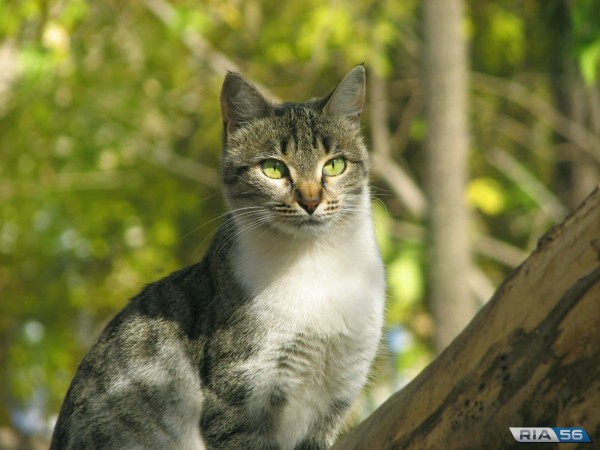 В Оренбургской области ожидается потепление до +30 градусов