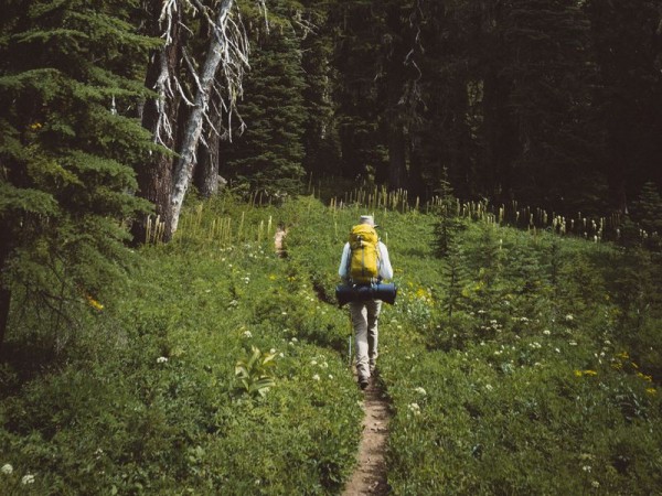 В Саракташском районе нашли заблудившегося жителя Башкортостана
