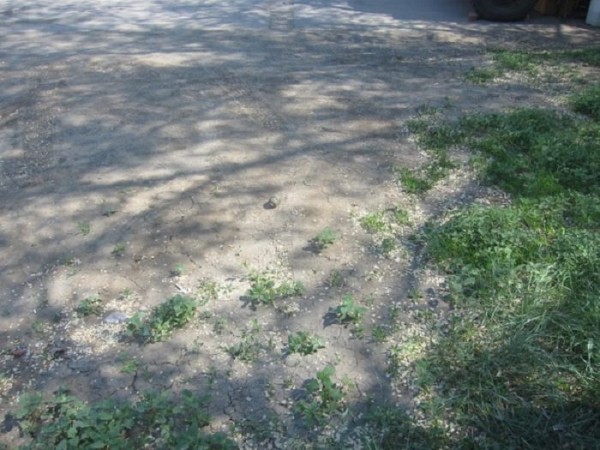 Граната для страйкбола стала причиной переполоха в Орске