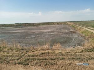 К решению проблемы с загрязнением воздуха в поселке Южный Урал под Оренбургом привлекут ученых