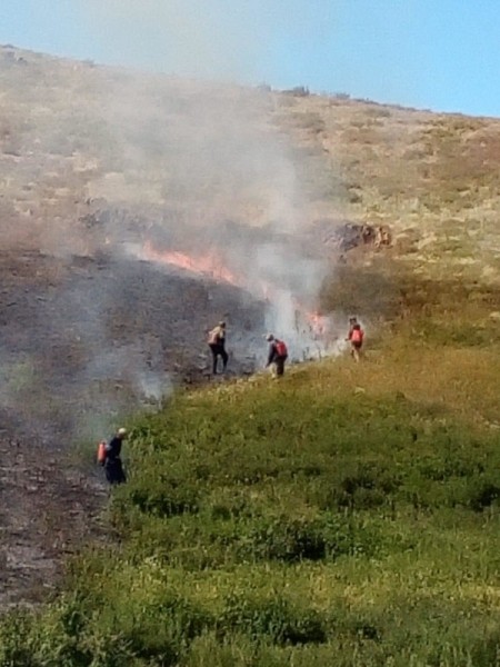 В Оренбуржье пожарные предотвратили распространение огня на населённые пункты