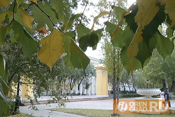 Оренбургскую область накрывает зной