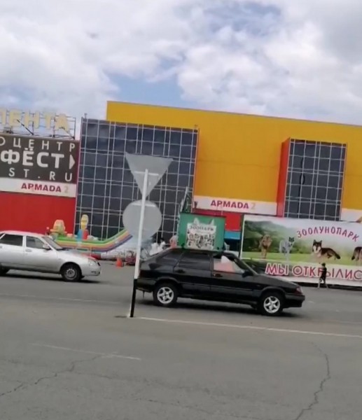 Оренбуржец вышел на пикет к передвижному зоопарку