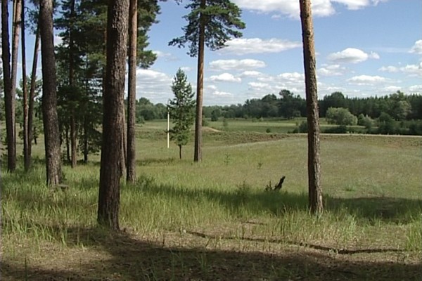 В Оренбуржье браконьер выслушал приговор суда В Оренбуржье браконьер выслушал приговор суда