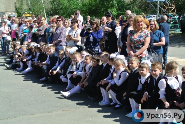 
В России предложили учить первоклассников правилам дорожного движения		