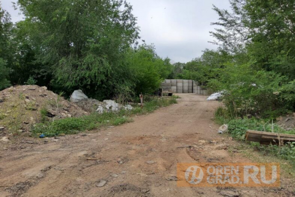 Оренбургское предприятие в лесопосадке устроило склад железобетонных изделий