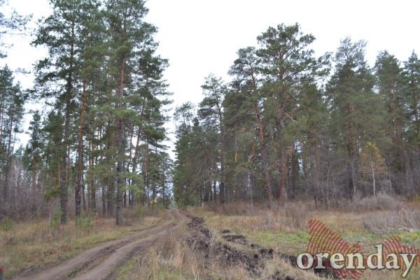 Чиновники не скрывают, что в Оренбуржье туризм скорее мёртв