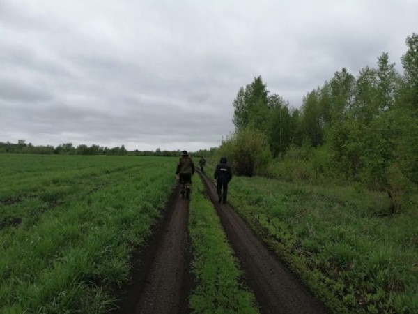 Поиски продолжаются. Под Бузулуком ищут без вести пропавшего пенсионера