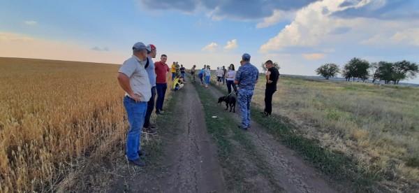 Поиски продолжаются. Под Бузулуком ищут без вести пропавшего пенсионера
