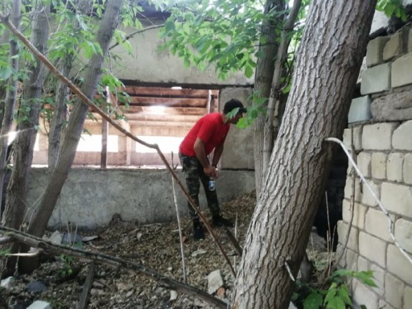 Поиски продолжаются. Под Бузулуком ищут без вести пропавшего пенсионера