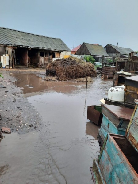 В Оренбуржье из-за сильного дождя затопило село Плешаново В Оренбуржье из-за сильного дождя затопило село Плешаново