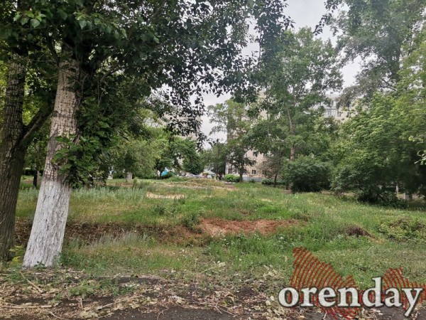 Парк им. Гуськова в Оренбурге можно смело отдавать под пастбище