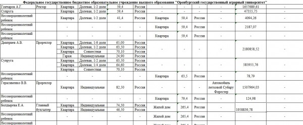 Кто из ректоров оренбургских вузов неплохо зарабатывает Кто из ректоров оренбургских вузов неплохо зарабатывает