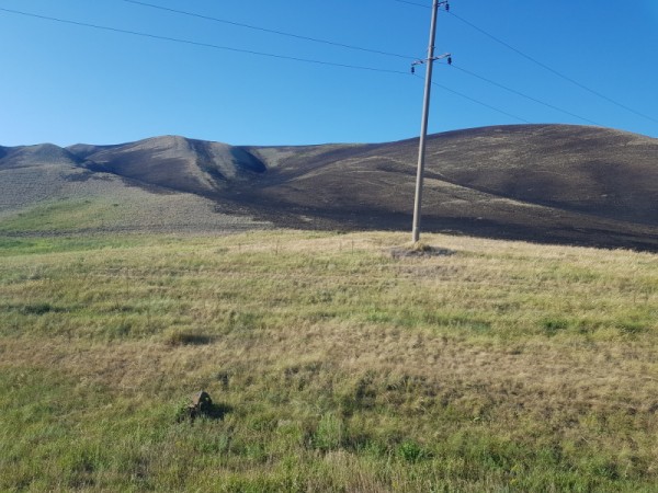 В Кувандыкском городском округе горели поля на площади 30 га