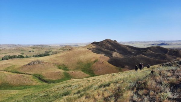 В Оренбуржье пожарные предотвратили распространение огня на населённые пункты