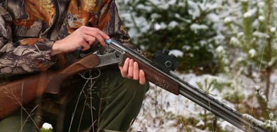 Оренбуржец поплатился за отстрел из ружья трёх косуль