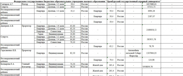 Кто из ректоров оренбургских вузов неплохо зарабатывает