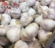 Правильно теперь говорить - не купить свеклу, а побаловать себя ею Правильно теперь говорить - не купить свеклу, а побаловать себя ею