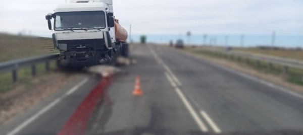 На трассе "Оренбург - Самара" лоб в лоб столкнулись большегрузы