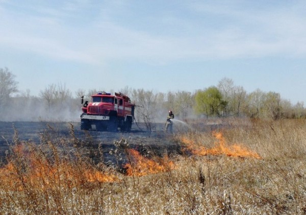 Под Кувандыком потушили сильный степной пожар на площади в 30 гектаров