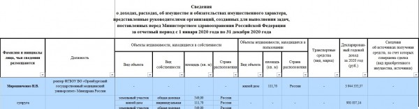 Кто из ректоров оренбургских вузов неплохо зарабатывает