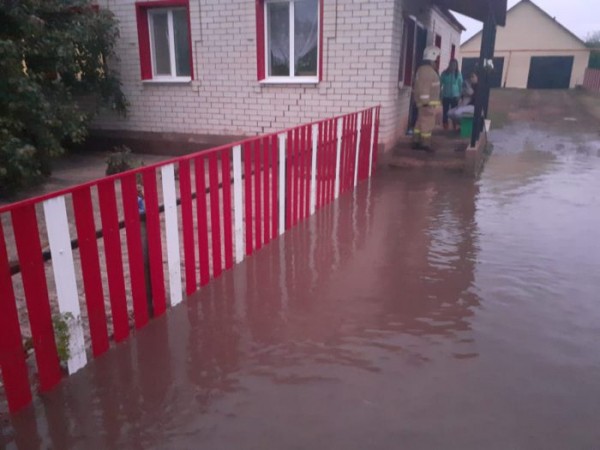 В Оренбуржье из-за сильного дождя затопило село Плешаново В Оренбуржье из-за сильного дождя затопило село Плешаново