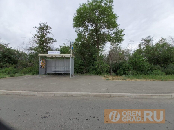 Оренбургское предприятие в лесопосадке устроило склад железобетонных изделий