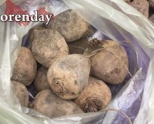 Правильно теперь говорить - не купить свеклу, а побаловать себя ею Правильно теперь говорить - не купить свеклу, а побаловать себя ею