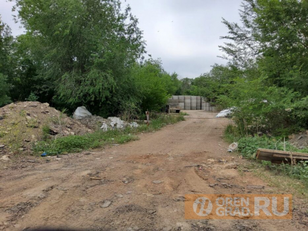 Оренбургское предприятие в лесопосадке устроило склад железобетонных изделий