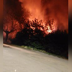 
&laquo;Возьмите этот дом и отдайте сиротам, молодым врачам &ndash; тому, кто нуждается!&raquo; Житель Орска требует избавить его от опасного соседства с бомжами, но власти не хотят идти навстречу		