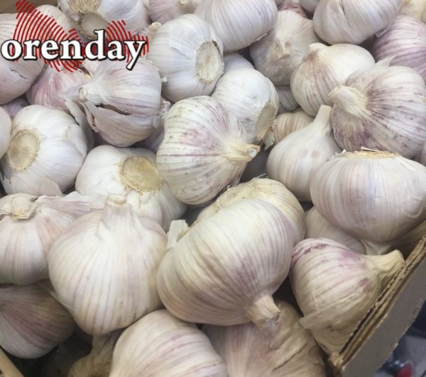 Правильно теперь говорить - не купить свеклу, а побаловать себя ею Правильно теперь говорить - не купить свеклу, а побаловать себя ею